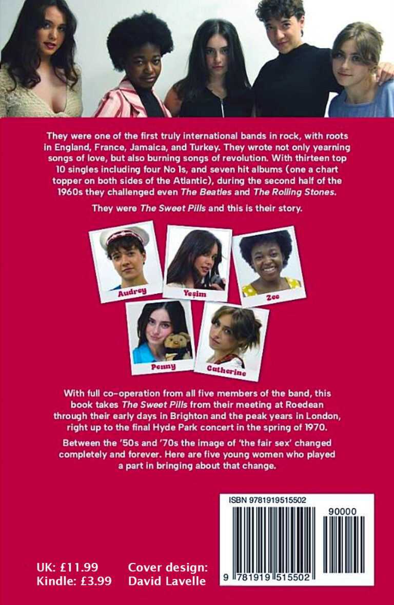 back cover of book no way to beehive